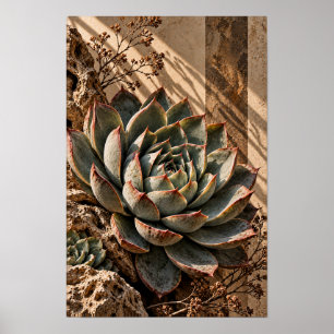 Arte Botánico de Suculentas con Luz Dorada en Pare