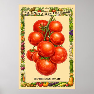 Arte Botánico de Tomates Era Victoriana Retro