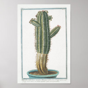 Arte botánico del poster del cactus del vintage