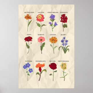 Arte Botánico Floral Vintage