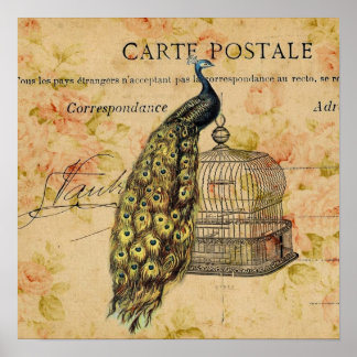 arte botánico francés nouveau vintage pavo real