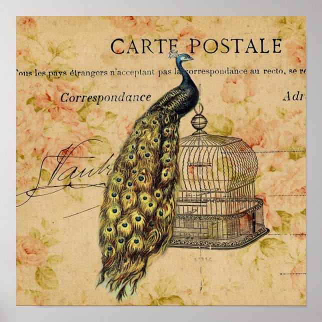 arte botánico francés nouveau vintage pavo real (Frente)