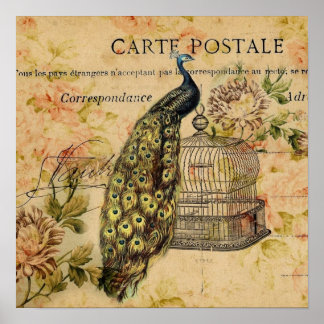 arte botánico francés nouveau vintage pavo real
