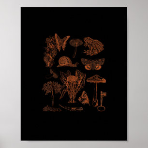 Arte botánico, hongos de rana estética Goblincore