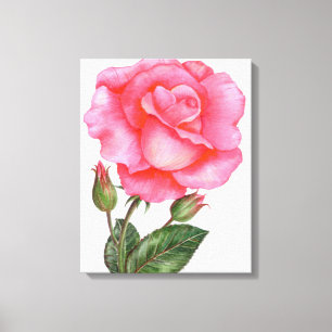 Arte botánico mural rosa rosa floral flores