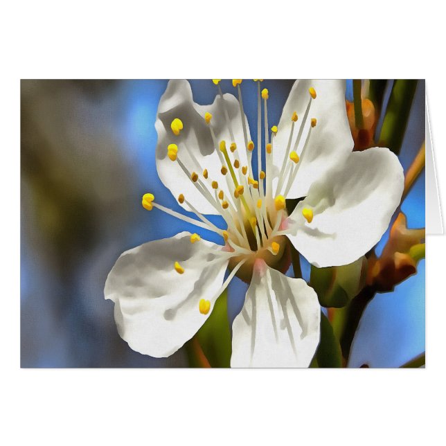 Arte botánico Plum Blossom (Anverso (Horizontal))