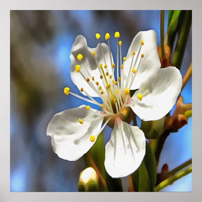 Arte botánico Plum Blossom (Frente)