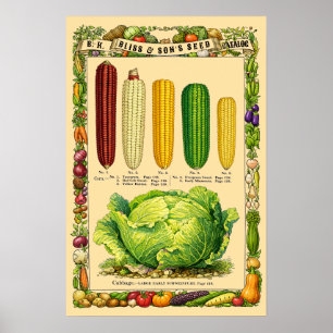 Arte botánico retro victoriano del maíz