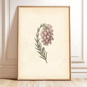 Arte Botánico Vintage en Lienzo