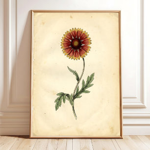 Arte Botánico Vintage para Pared