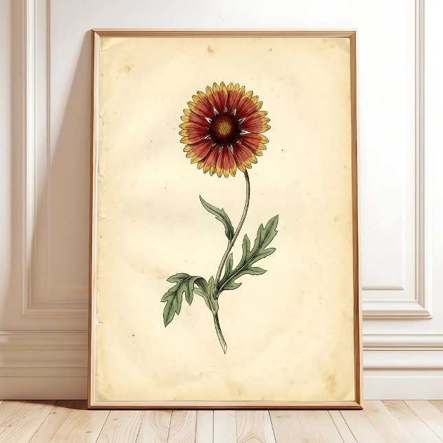 Arte Botánico Vintage para Pared (Subido por el creador)