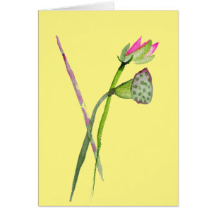 Arte budista de flores de Lotus Zen rosa