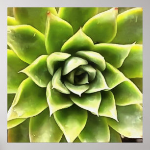 Arte Cacti verde exitoso