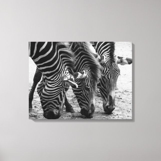 Arte Canvas-Zebras (Anverso)