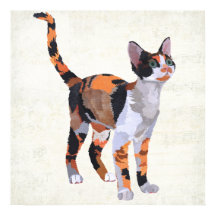 Arte CAT de CALICO