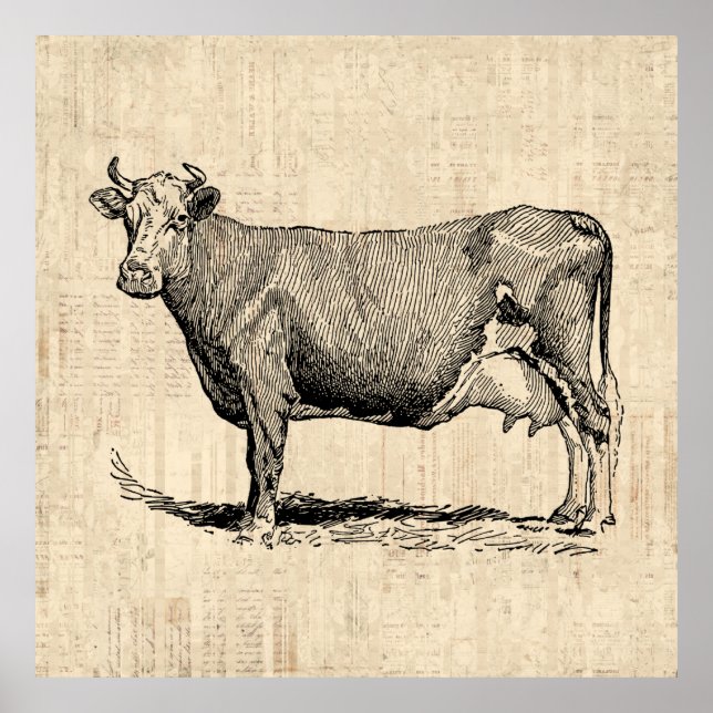Arte clásico de vaca antiguo (Frente)