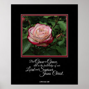 Arte color de rosa rosado/poster de la pared de