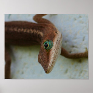 Arte curioso de la pared del lagarto