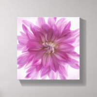 Arte Dahlia pintado - Fuchsia