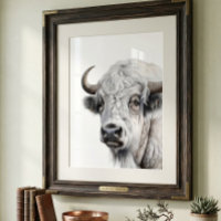 Arte de Acuarela de Bisonte Blanco Búfalo