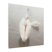 Arte de acuarelas modernas elegantes Cisnes en el 