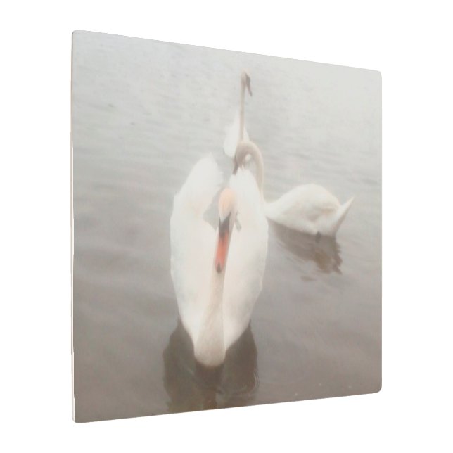 Arte de acuarelas modernas elegantes Cisnes en el  (Angulado)