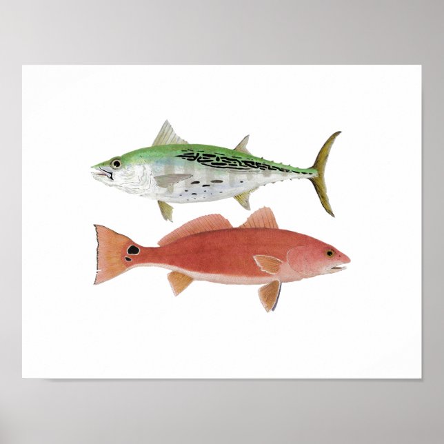 Arte de Albacore y Redfish (Frente)