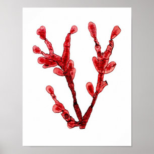 Arte De Algas Rojas Impresión No.8 Decoración De P