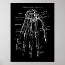 Arte de anatomía ósea de mano humana