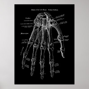 Arte de anatomía ósea de mano humana