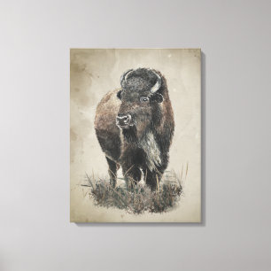 Arte de animal de bisonte búfalo con aspecto vinta