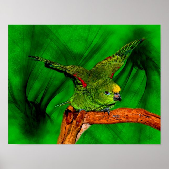Arte de animales de loro de Amazonía amarilla (Frente)