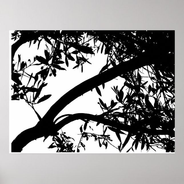 Arte de árbol blanco y negro (Frente)