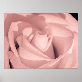 Arte de archivo de flor de rosa rosa romántico