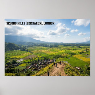 Arte de arrozal de Selong Hill Sembalun Lombok