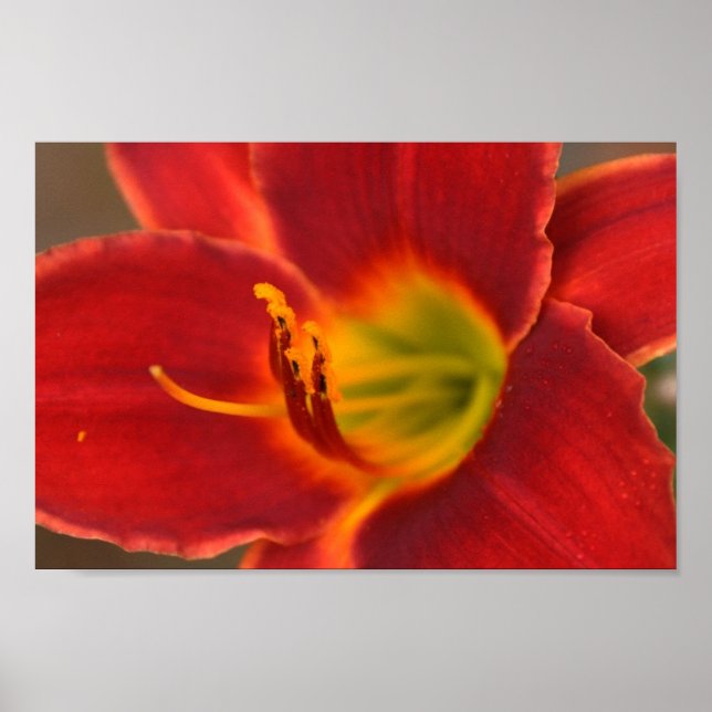 Arte de Augle, (Frente)