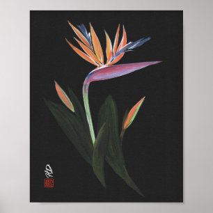 Arte de Ave del Paraíso de Medianoche