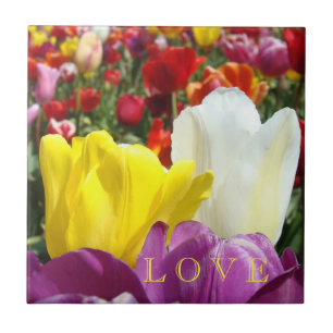Arte de baldosas de flores de tulipán floral del D