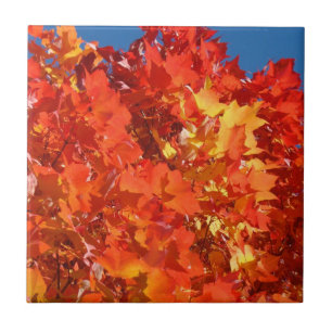 Arte de baldosas de otoño Naranja Hojas de árbol d