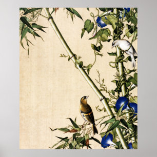 Arte de bambú vintage y gloria de la mañana azul