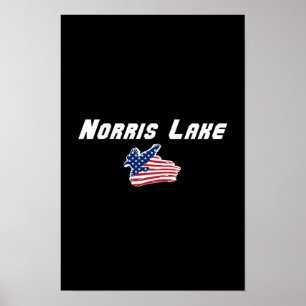 Arte de bandera del águila americana del lago Norr