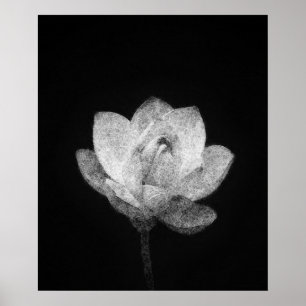 arte de boceto de flor de loto floreciente