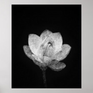 arte de boceto de flor de loto floreciente