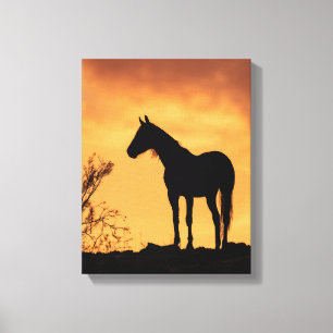 Arte de caballo en silueta con cielo de puesta de