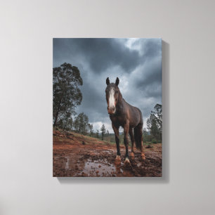 Arte de Caballo Fuerte Bajo Cielo Tormentoso