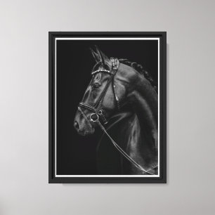 Arte de caballos de ojos negros y blancos