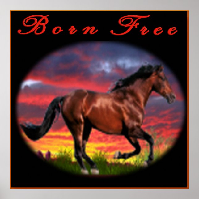 Arte de caballos libre (Frente)