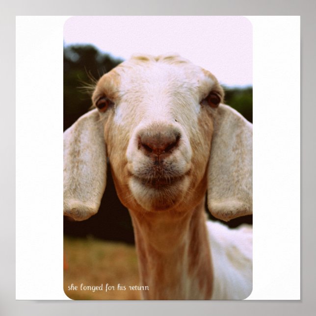 Arte de cabra (Frente)