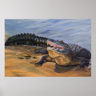 Arte de caimán. Cara a Cara