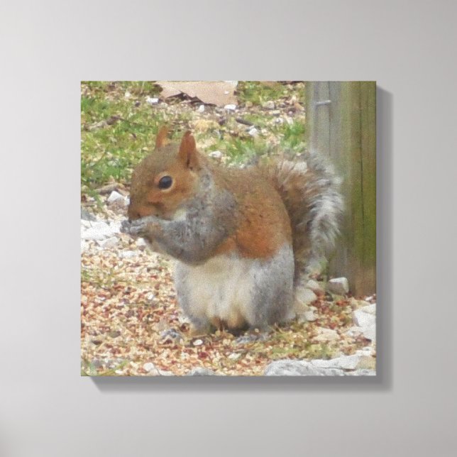 Arte de canvas de ardilla (Anverso)
